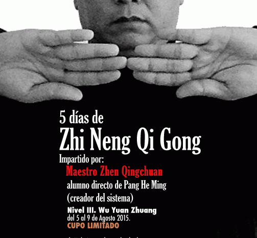 Zhi Neng Qi Gong nivel 3 del 5 al 9 de agosto de 2015.