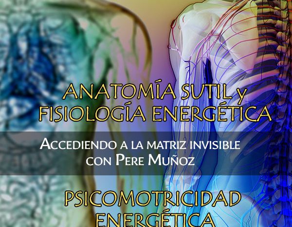 Seminarios en Barcelona. Psicomotricidad Energética y Anatomía sutil y fisiología energética (Accediendo a la matriz invisible). 13, 14 y 15 Noviembre