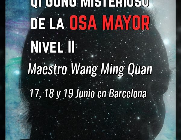 Qi Gong misterioso de la Osa Mayor. Nivel II. 17, 18 y 19 de Junio de 2016