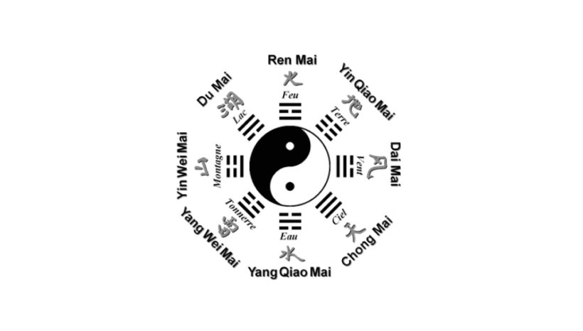 Seminario Qi Gong de los 12 Meridianos