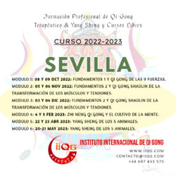 Programación 2022-2023 en Sevilla