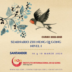 Seminario Zhi Neng Qi Gong Nivel 1 en Santander