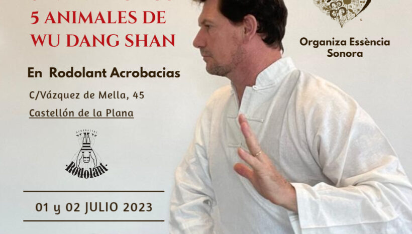 Seminario Los 5 Animales de Wu Dang Shan en Castellón de la Plana