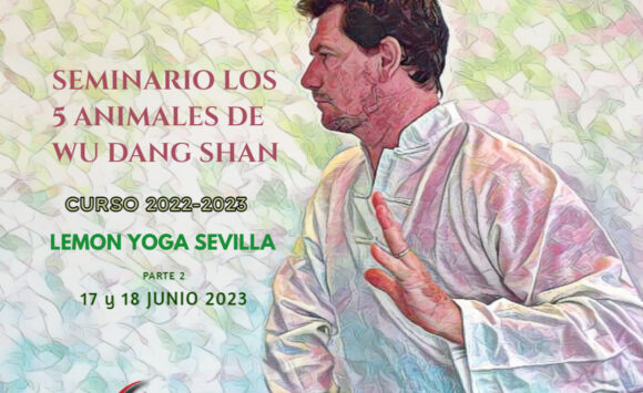 Seminario Los 5 Animales de Wu Dang Shan en Sevilla (Parte 2)
